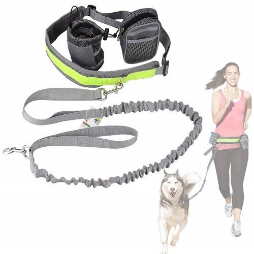 Cadrim Hands Free Dog Walking Belt  with 2 Pack Bags and Reflective Strip (grey)