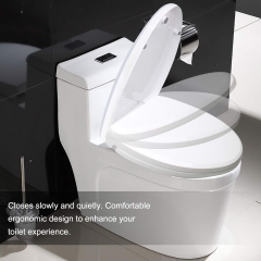 Cadrim Toilet Seat with Built in Child Seat 732083291265