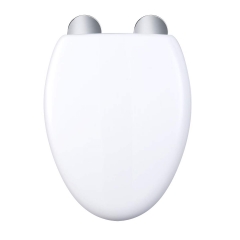 Cadrim Toilet Seat with Built in Child Seat 732083291265